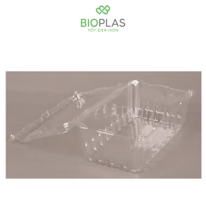 3RHOME-Hộp nhựa P1000A