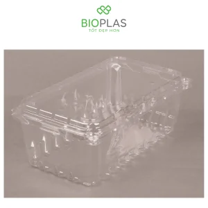 3RHOME-Hộp nhựa P1000A